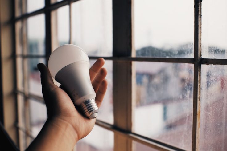 A picture of a hand holding a light bulb.